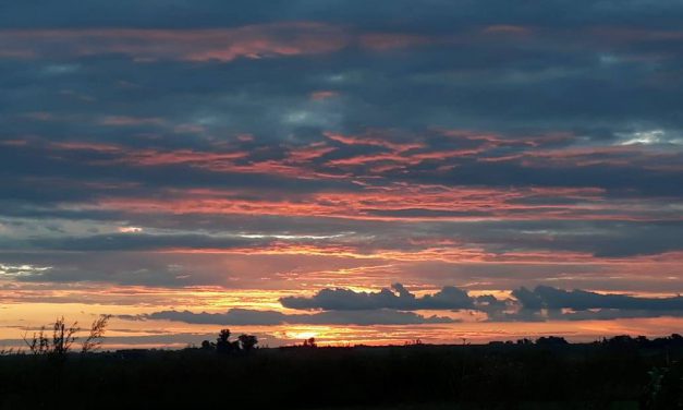 Días cálidos y después Tormentas y Frío