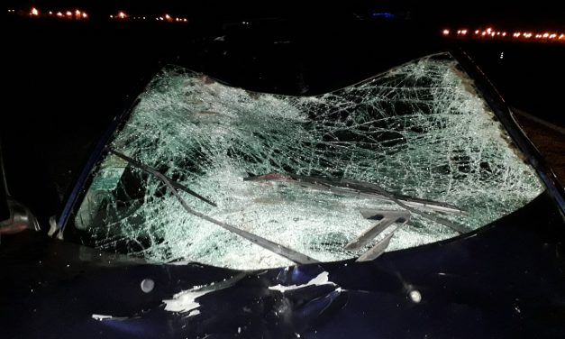 Se le cruzaron tres caballos en autopista, chocó a uno y causó otro accidente
