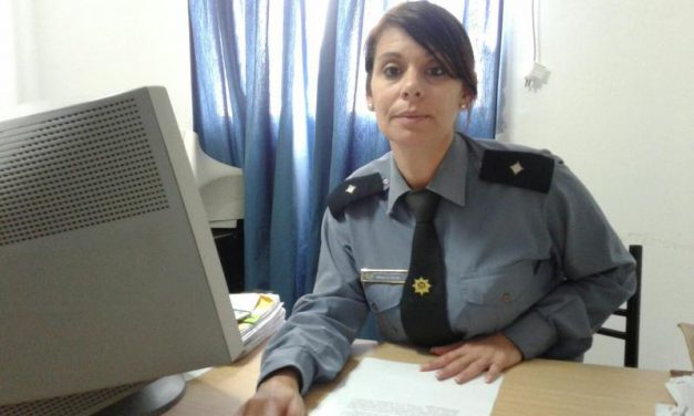 Ingresaron por la ventana y desvalijaron una casa