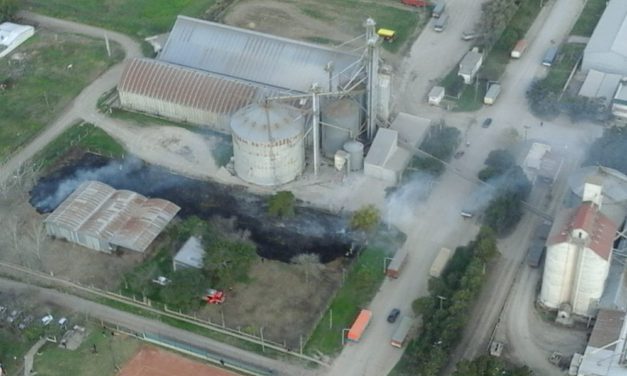 Incendio de pastizales en Las Rosas