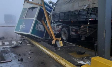 Milagro en autopista: camión chocó el peaje y hay menores heridos