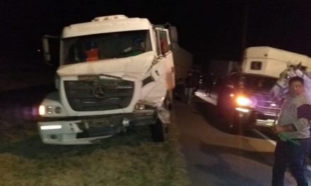 Tortugas: accidente entre dos camiones donde uno trasladaba equinos