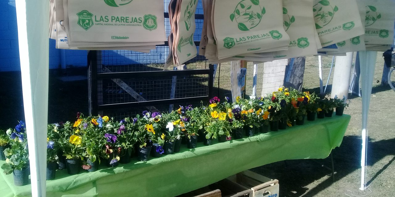 Eco Canje, un plantín por residuos reciclables