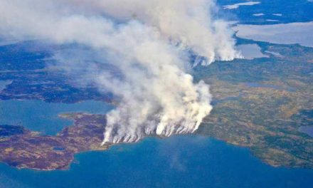 Llega el Humo Amazónico