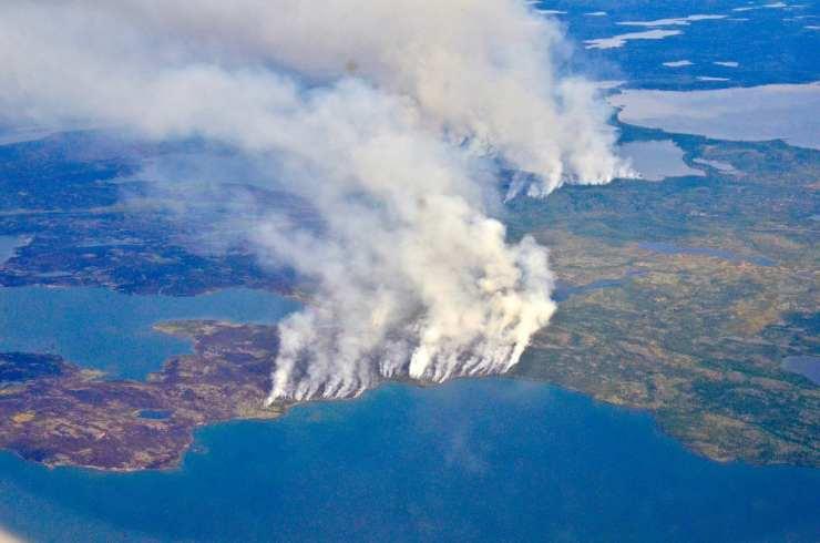 Llega el Humo Amazónico