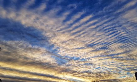 Pronóstico para nuestra región