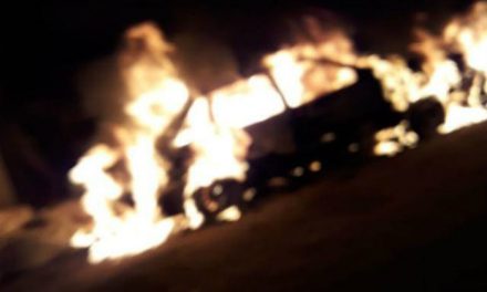 Se incendió un auto en un camino rural: su conductor logró salir a tiempo
