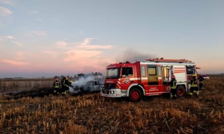 Se incendió una Pick Up