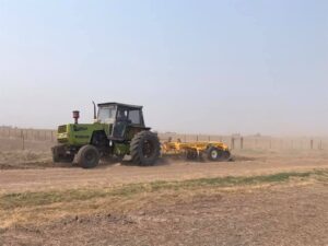campo 3