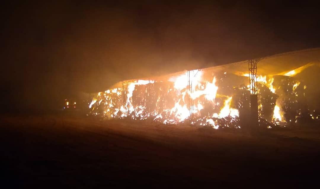Voraz incendio en zona rural de Las Rosas