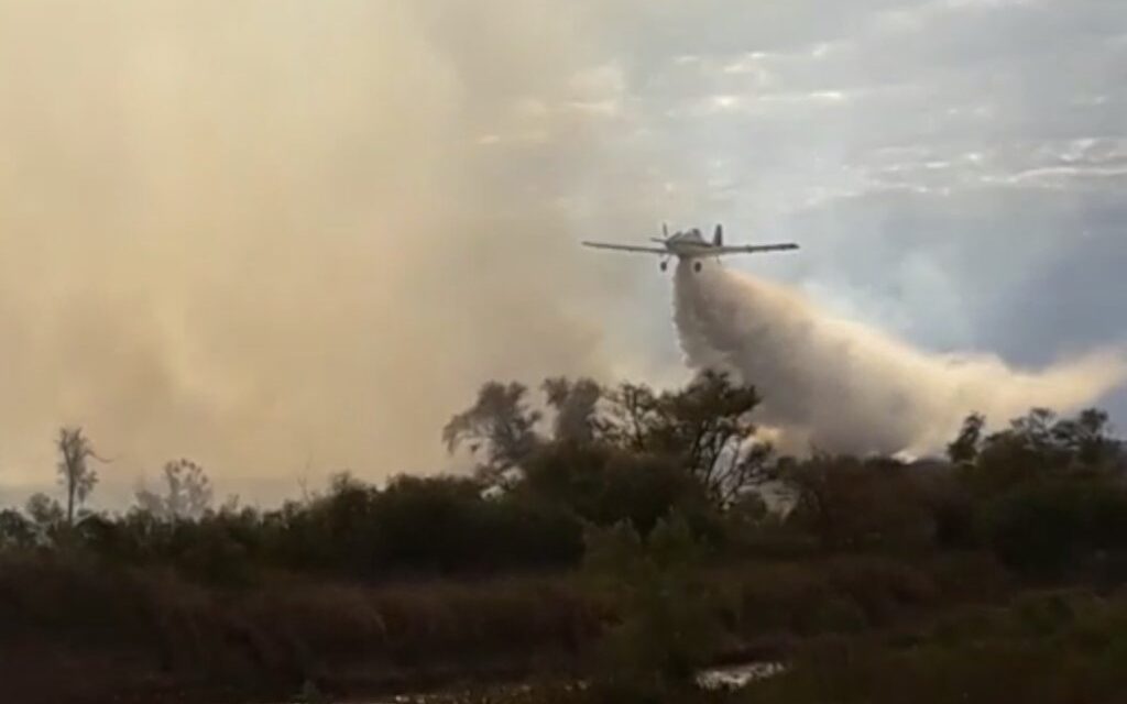 Guillermo Brignoni  es Jefe de Operaciones en incendios de las islas