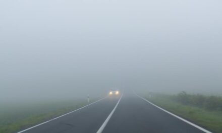 Niebla, Lluvia y Frío