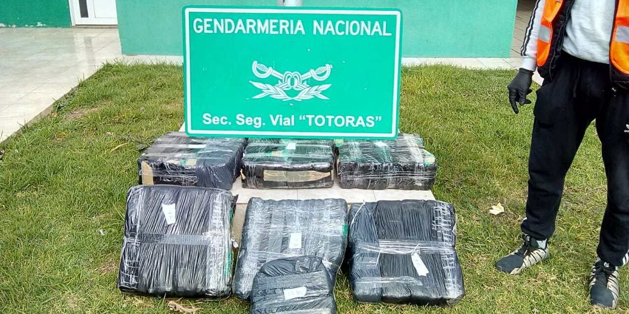 San Genaro: detuvieron un camión que transportaba 60 kilos de hojas de coca