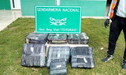 San Genaro: detuvieron un camión que transportaba 60 kilos de hojas de coca