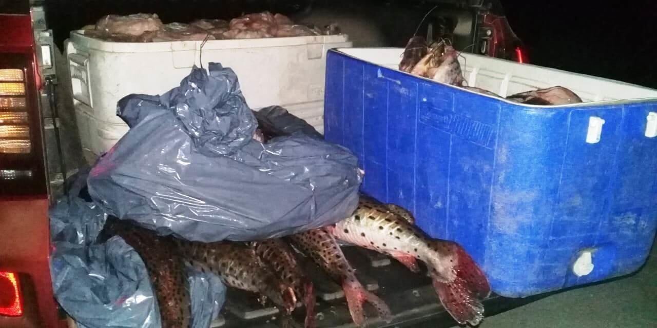 Lo multaron por llevar 130 Kg. de pescados sin licencia habilitante
