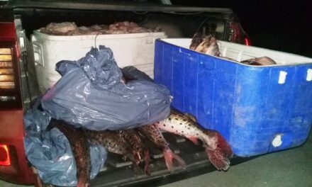 Lo multaron por llevar 130 Kg. de pescados sin licencia habilitante