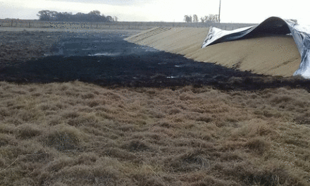 Incendio de silobolsa y herramientas agrícolas