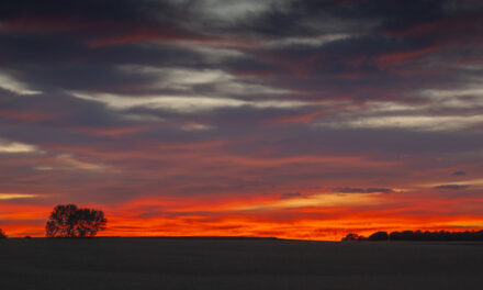 Actualización Meteorológica
