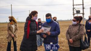 lote 6