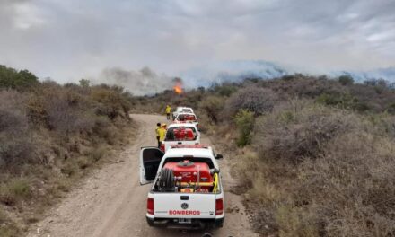 Brigadistas de la Provincia junto a Guillermo Brignoni y Walter Corsetti están trabajando en los incendios de Córdoba