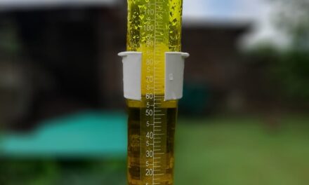 Buenos milímetros de lluvia en Las Parejas