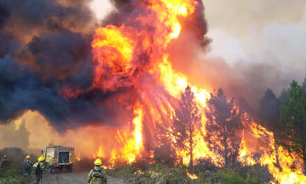 Brignoni, sobre los incendios en la Patagonia: “La lluvia alivio un poco pero la situación es dantesca”