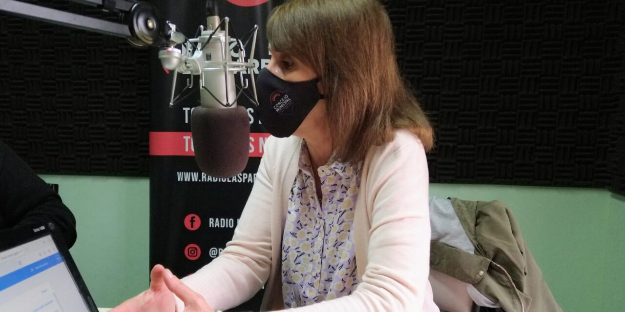 El Socialismo presentó un proyecto para declaraciones jurada para funcionarios