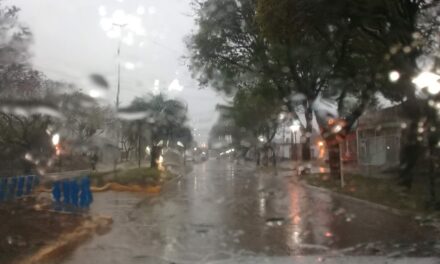 Importante lluvia y salida de Bomberos por la tormenta