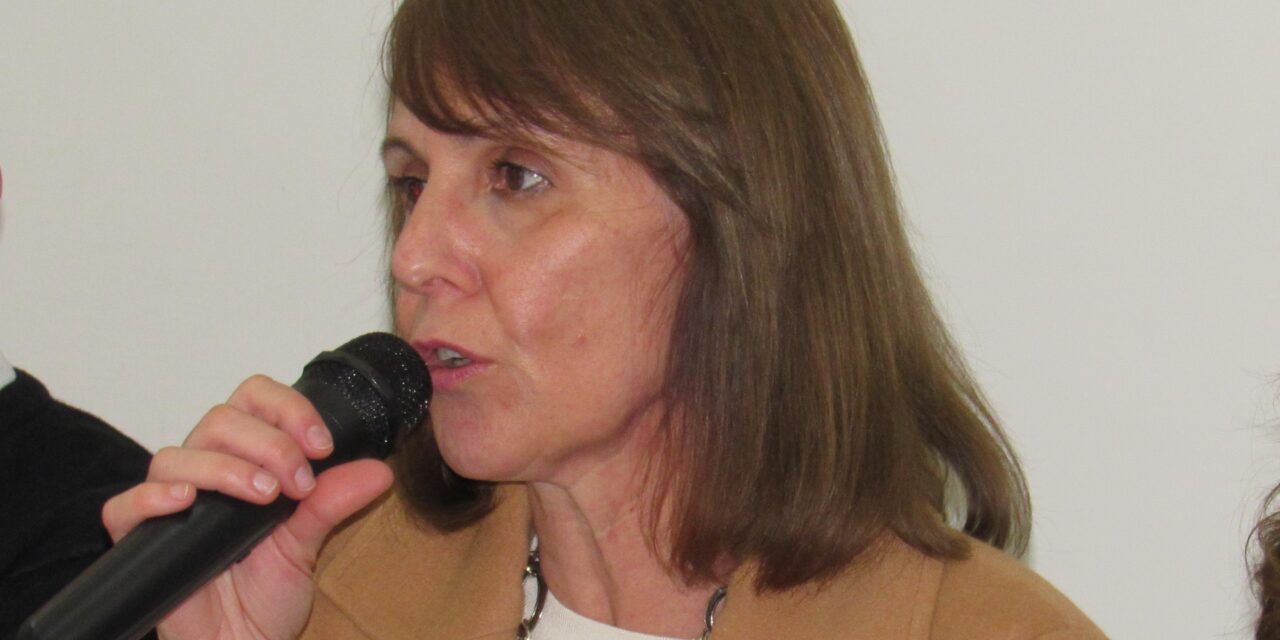 Regularán las aperturas de boliches. “Las ordenanzas y leyes de nuestro país corren atrás de la zanahoria”, dijo la Presidenta del Concejo Sandra Clérici.