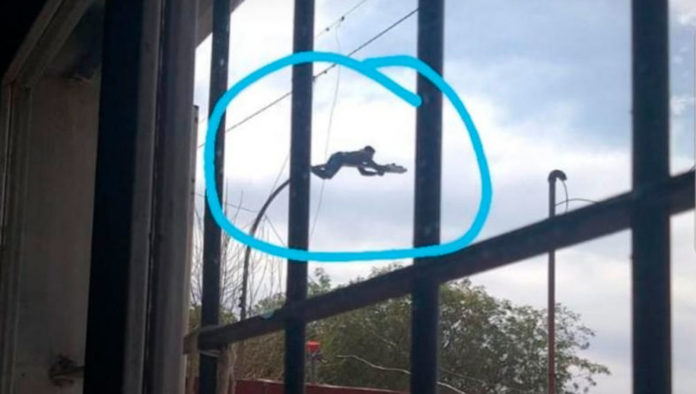 Un vecino captó el insólito robo