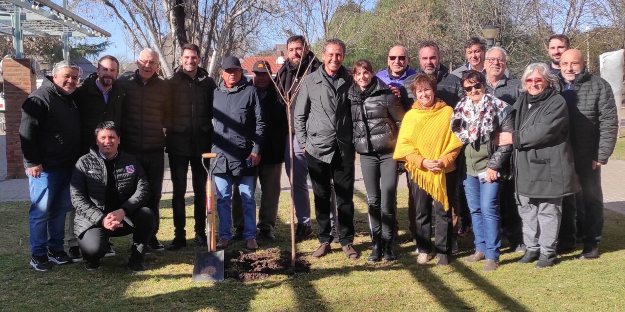 Plantaron un árbol en Sportivo homenajeando la presencia de Jorge Valdano