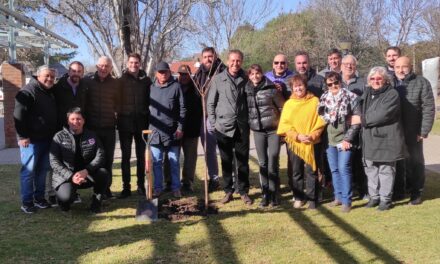 Plantaron un árbol en Sportivo homenajeando la presencia de Jorge Valdano