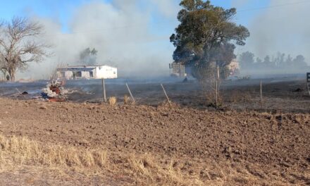 Incendio en un campo