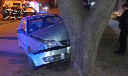 <strong>VEHÍCULO IMPACTO CONTRA UN ÁRBOL</strong>