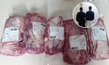 INTENTÓ ROBAR CARNE DEL FRIGORÍFICO DE CARCARAÑÁ