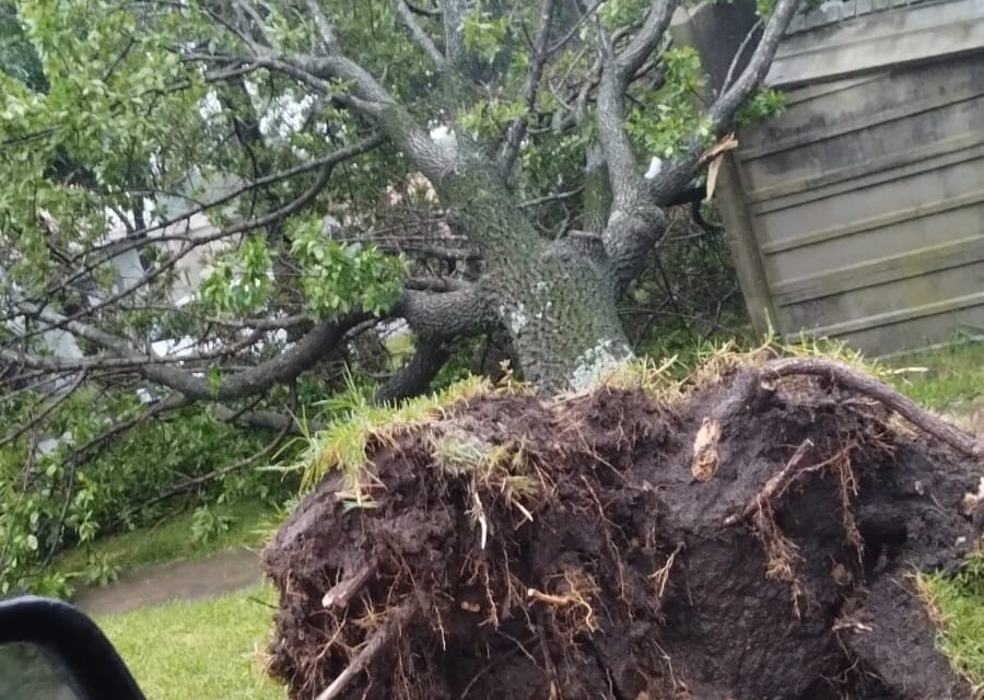 LA TORMENTA OCASIÓNÓ PROBLEMAS EN LA REGIÓN