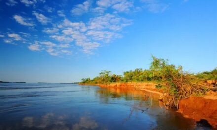 NADABA EN EL RÍO Y MURIÓ AHOGADO