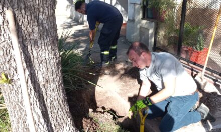 RESCATE DE UN CAMIÓN AVERIADO Y FUGA DE GAS