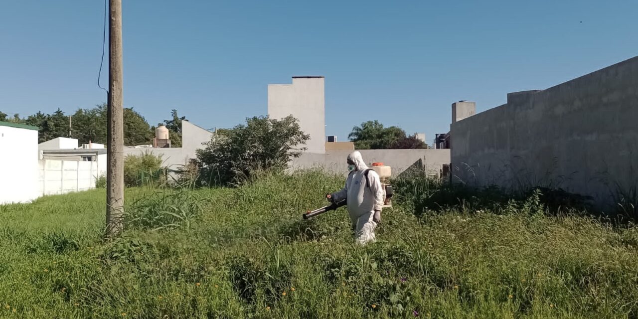 BLOQUEO CON FUMIGACIÓN POR OTRO CASO DE DENGUE