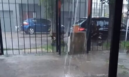 BREVES DEL SÁBADO:  LLUVIA – GOLEÓ LA CELESTE – DETENIDO CON PLANTAS SIMILARES AL CANNABIS – COLP CON OTRO NÚMERO DE TELÉFONO                                                         