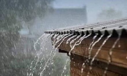 LLEGÓ LA LLUVIA ESPERADA EN ESTA REGIÓN