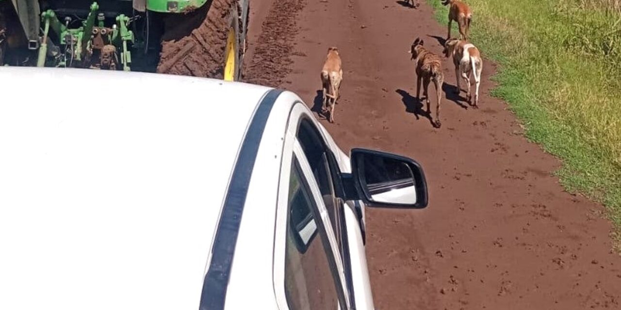 RESCATE DE UNA FEMENINA QUE CONDUCÍA UNA PICK UP QUE QUEDÓ ENCAJADA EN UN CAMINO RURAL