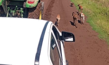 RESCATE DE UNA FEMENINA QUE CONDUCÍA UNA PICK UP QUE QUEDÓ ENCAJADA EN UN CAMINO RURAL