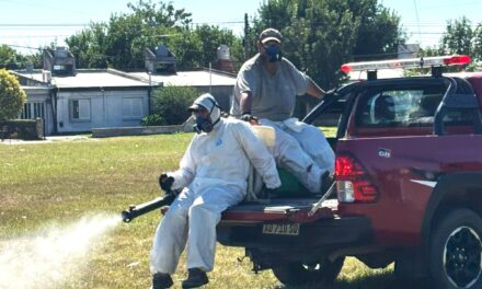 TRABAJOS DE FUMIGACIÓN POR CASOS DE DENGUE EN LAS PAREJAS