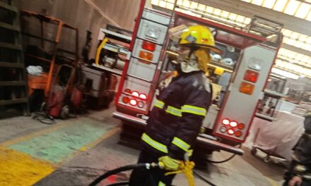 INCENDIO EN LA SECCIÓN PINTURAS EN UNA EMPRESA DEL ÁREA INDUSTRIAL