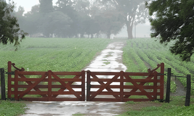 MUCHA LLUVIA EN TODA LA REGIÓN