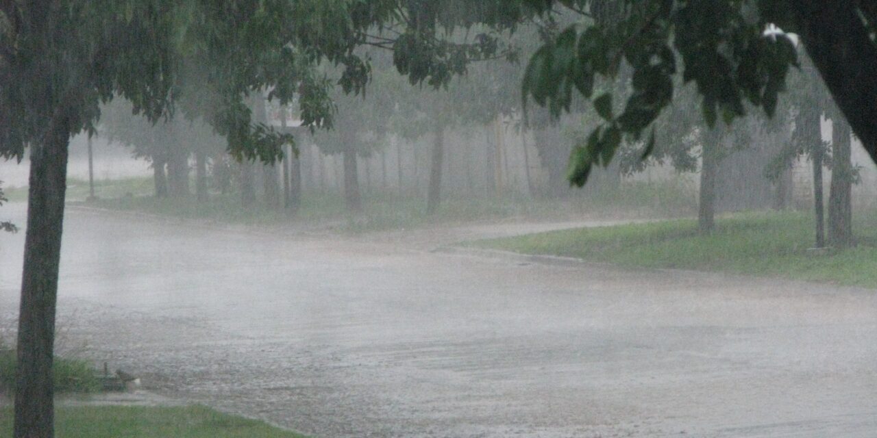 LLUVIA, VIENTO Y ALGUNOS DAÑOS