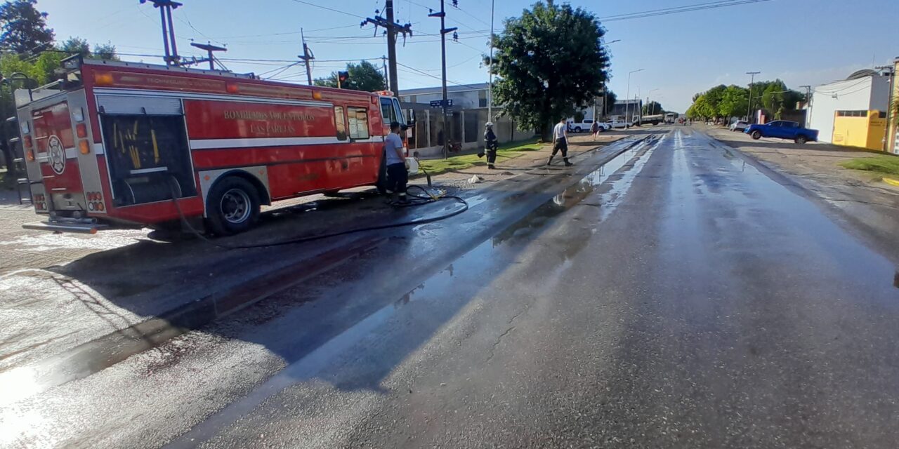 CAYÓ CARGA DE DESPERDICIOS DE FAENA EN RUTA, ENTRE AVENIDA 13 Y 21