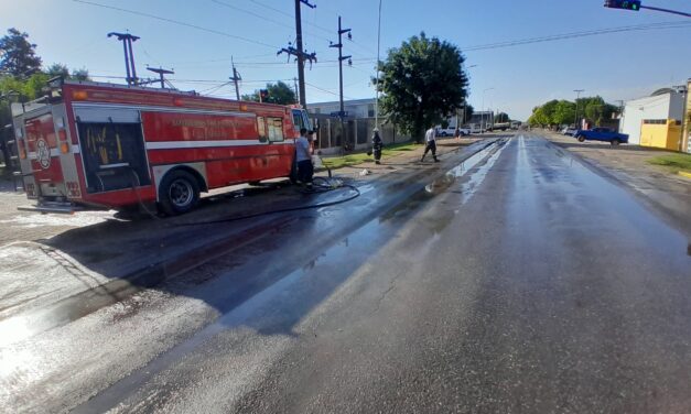 CAYÓ CARGA DE DESPERDICIOS DE FAENA EN RUTA, ENTRE AVENIDA 13 Y 21