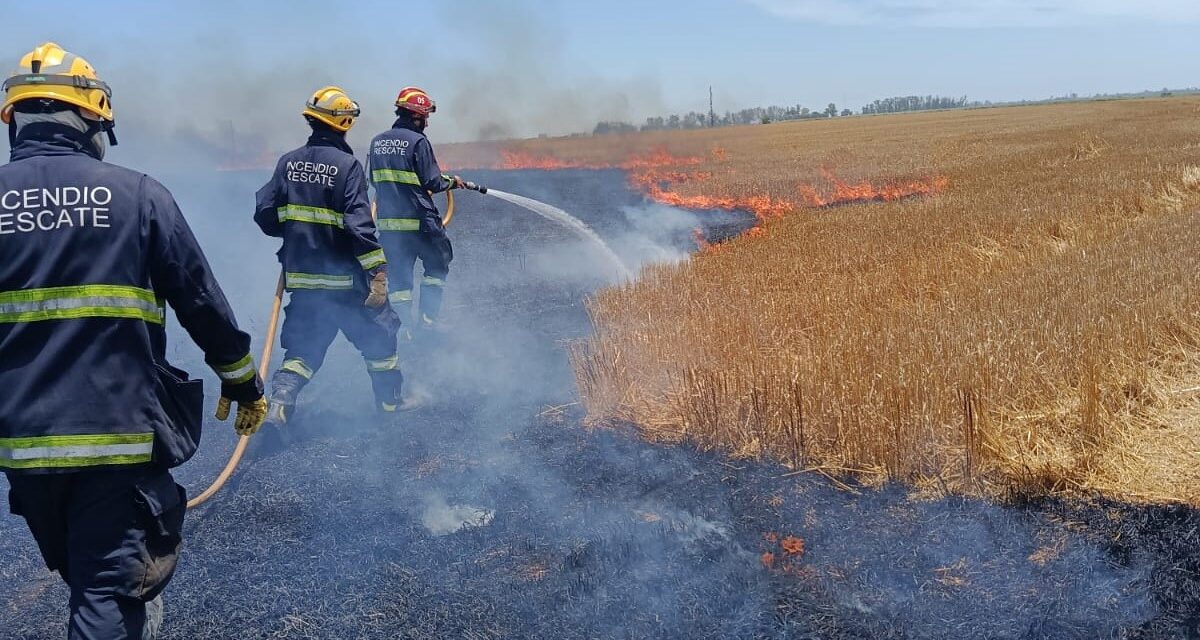 INCENDIO DE RASTROJO DE TRIGO